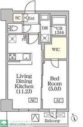 ＢＲＩＣＫ　ＲＥＳＩＤＥＮＣＥ　築地明石町 802