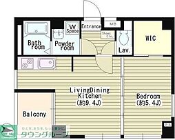 ＩＬ　ＲＩＳＯ 302