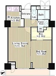 パーク・アヴェニュー神南