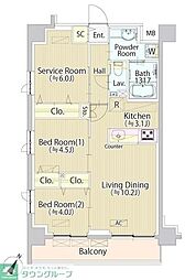 ＳＡＳＡＺＵＫＡ　ＴＯＤＡＹ