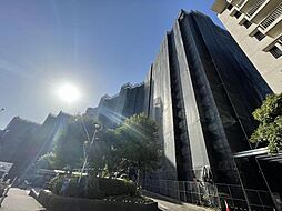 星和プラネタウン千里南第1期B棟