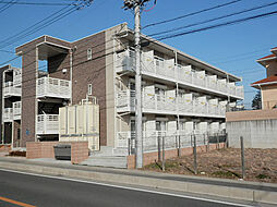 レオネクストグレイス 203