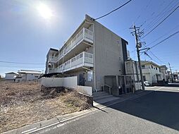 レオネクストヴィオラ 206