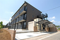 レオネクストマリポサIII 202