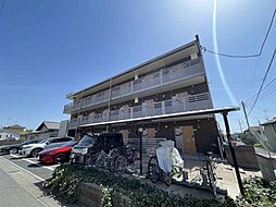 ミランダセレッソサード 206