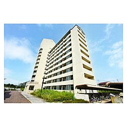 ビレッジハウス東松山タワー2号棟 0808