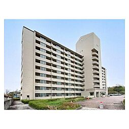 ビレッジハウス東松山タワー1号棟 0501