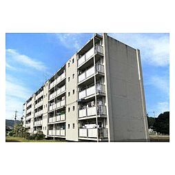 ビレッジハウス毛呂山2号棟 0203