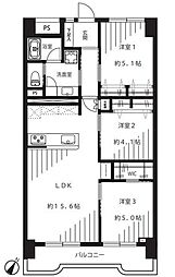 シティコープ豊洲