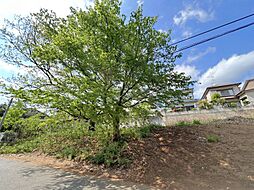 市川市北国分4丁目