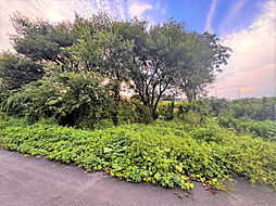 上尾市大字畔吉の土地