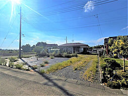 羽生市大字上新郷の土地