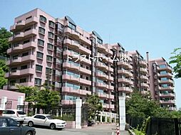 パームヒル藻岩
