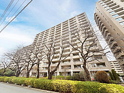 エステ・スクエア小田急相模原ステージII