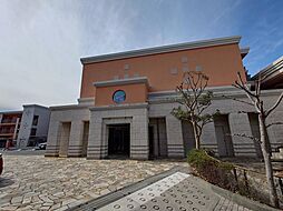 アデニウム葉山一色 212