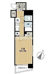 中央区日本橋浜町１丁目