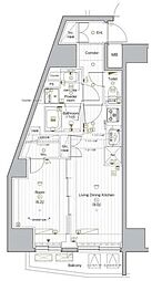 文京区小石川４丁目