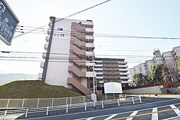 UR紅梅