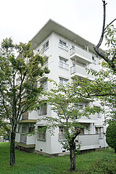 UR金山