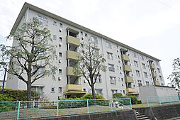 UR金山