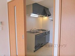 グリーンミモザ小林 505