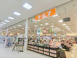 アルビラージュ