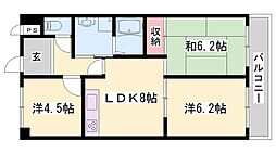 エンジェル尾上