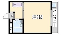 セントポーリア