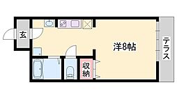 春風