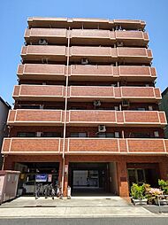 COSMO蓮井