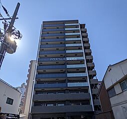 レジュールアッシュアーバンイール