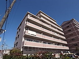 アルカディアコート