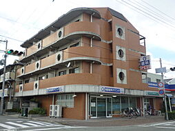 グレースサンシャイン