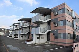 板野郡松茂町住吉字住吉開拓