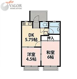 マロニエコート 205