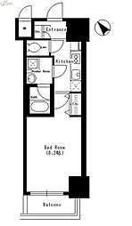 Dormouse Castle 307
