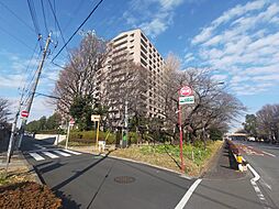 クリオレミントンヴィレッジ国立