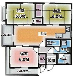 ノアズ・アーク 501