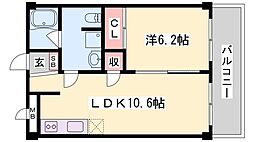 ディオ・ミオ 302