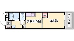 カサグランデモモ 302