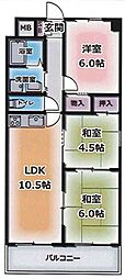 エクセル東加古川壱番館 501