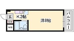 ソフィア辻井 404