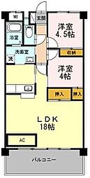 ロゼオ パラッツオ 105