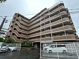 アムール高木