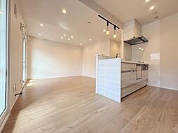 ダイアパレス菊水 102