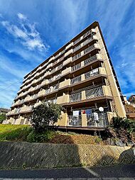 アネシス守恒 205