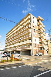 エヴァーグリーンN 408