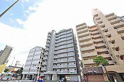 アヴィニールNo.5 202