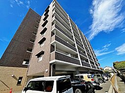 エヴァーグリーンQ 208