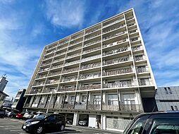 ルピナス守恒 302